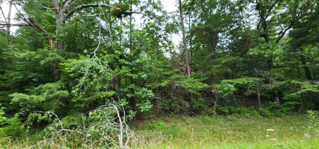 0 Sequatchie Mountain, Sequatchie, TN 37374