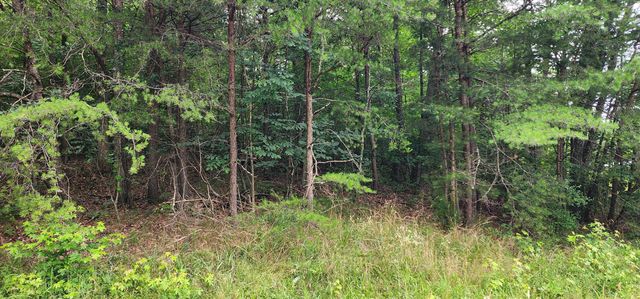 0 Sequatchie Mountain, Sequatchie, TN 37374