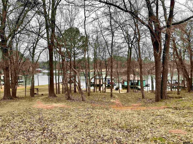 21431 Stevenson Road, Frankston, TX 75763