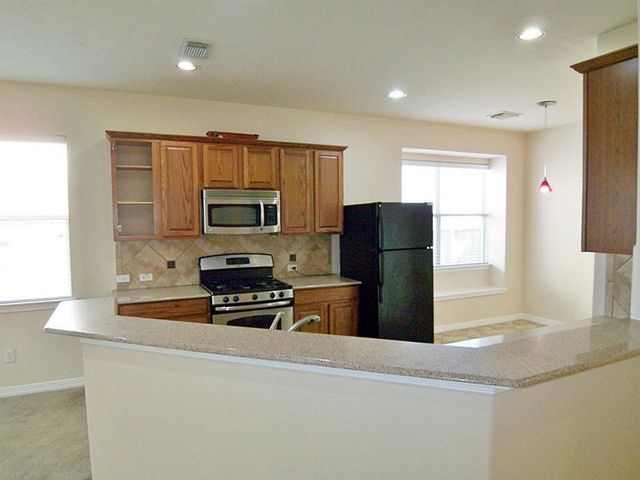 17207 Mossbriar Lane, Houston, TX 77095