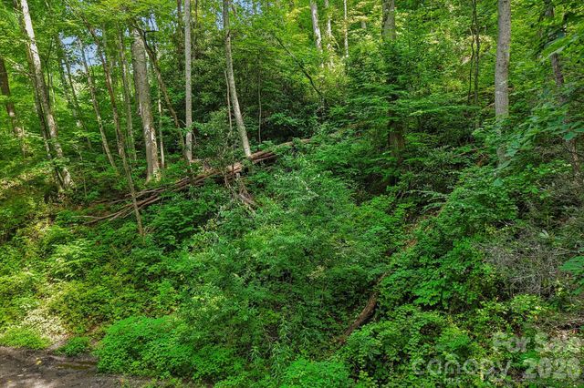 TBD Indian Falls Road, Asheville, NC 28803