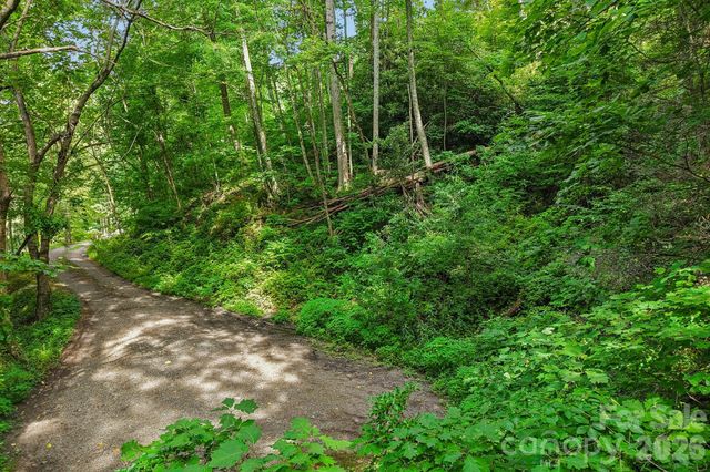 TBD Indian Falls Road, Asheville, NC 28803