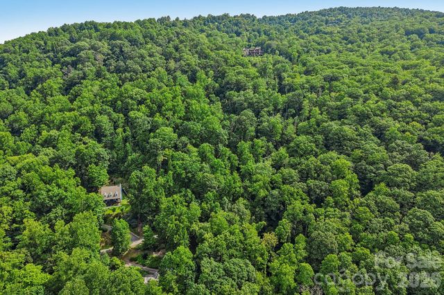 TBD Indian Falls Road, Asheville, NC 28803