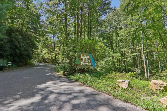 TBD Indian Falls Road, Asheville, NC 28803