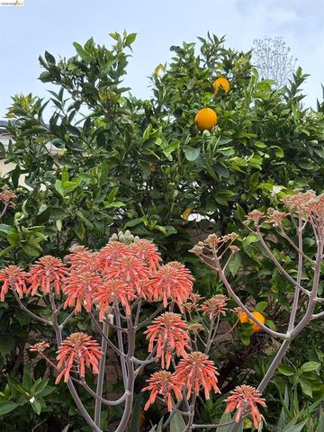 1101 1101 Hourglass Place, Diamond Bar, CA 91765