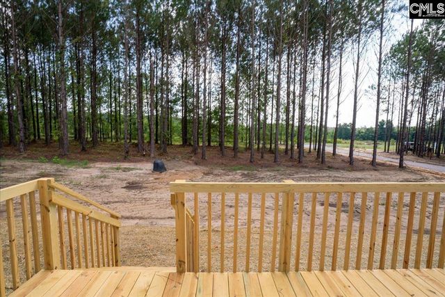 846 Horses Neck Road, Swansea, SC 29160