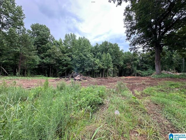 3182 COUNTY ROAD 61, Roanoke, AL 36274