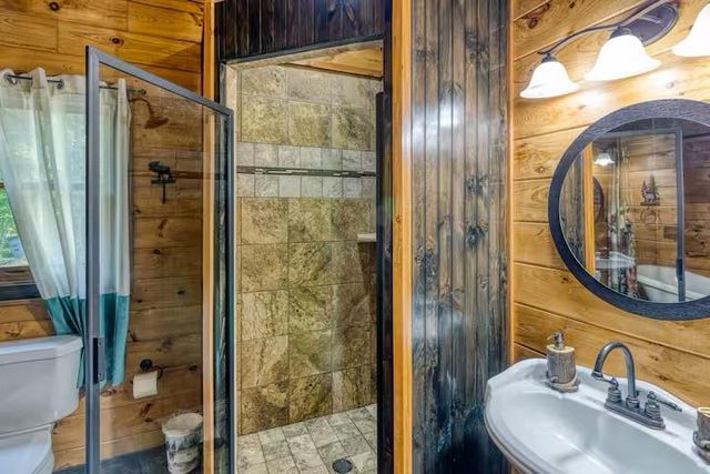 30 Trinity Hills Lane, Mineral Bluff, GA 30559