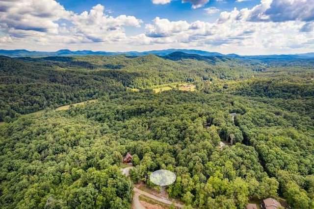 30 Trinity Hills Lane, Mineral Bluff, GA 30559
