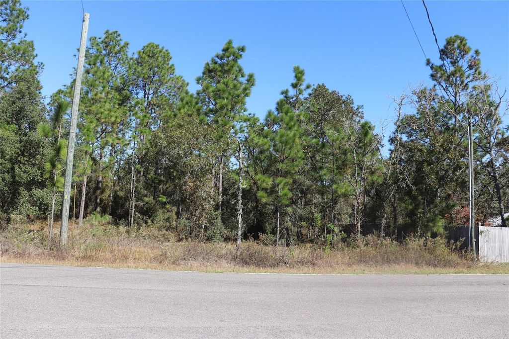 TBD SW INDIAN HILL DRIVE, Dunnellon, FL 34431