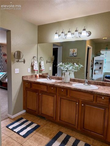 6667 Big Leaf Lane, Colorado Springs, CO 80927