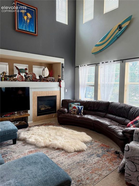 6667 Big Leaf Lane, Colorado Springs, CO 80927 — photo 4