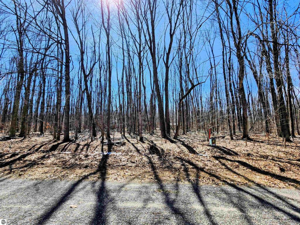 Image 1 of property listing at V/L 437 Crossbow Drive, Elmira, MI 49730