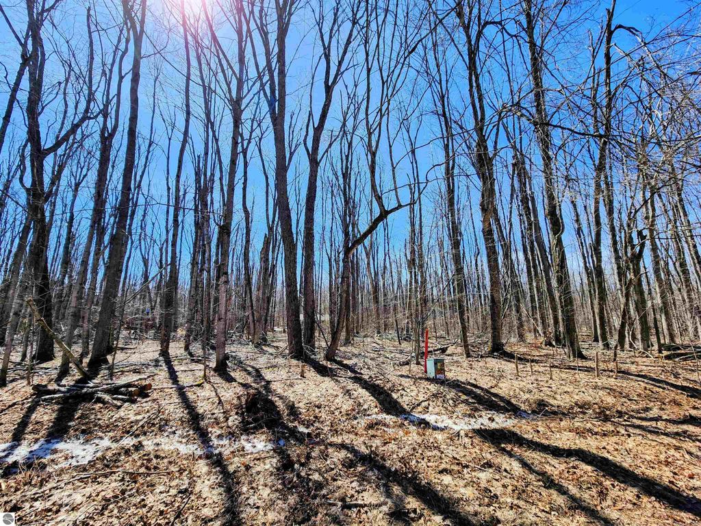 Image 2 of property listing at V/L 437 Crossbow Drive, Elmira, MI 49730