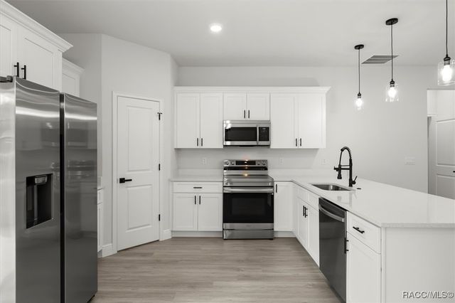 8100 N Tiny Lily Drive, Citrus Springs, FL 34434