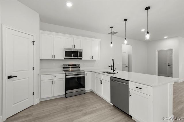 8100 N Tiny Lily Drive, Citrus Springs, FL 34434