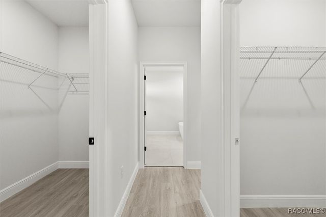 8100 N Tiny Lily Drive, Citrus Springs, FL 34434