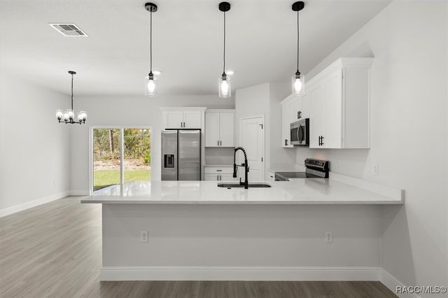 8100 N Tiny Lily Drive, Citrus Springs, FL 34434