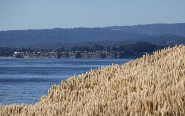 117 Seascape Resort Drive, Aptos, CA 95003