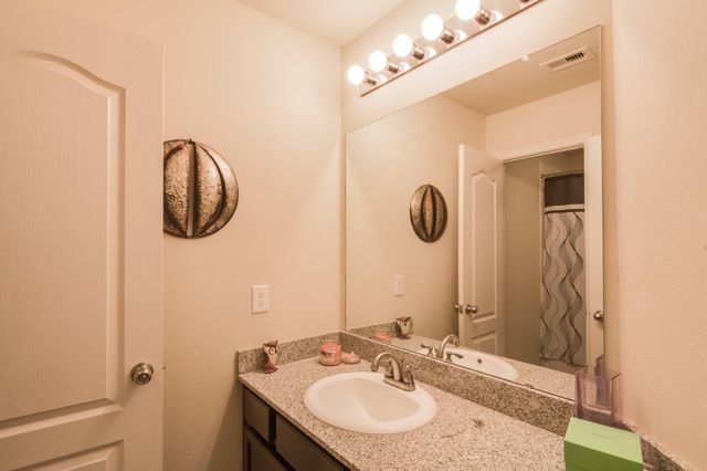 14214 Teaberry Breeze Court, Houston, TX 77044