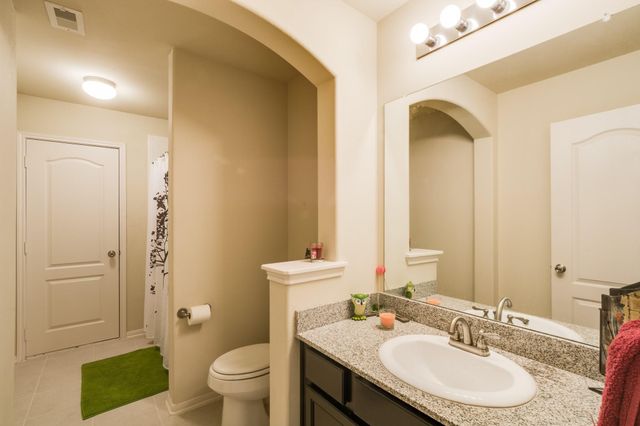 14214 Teaberry Breeze Court, Houston, TX 77044