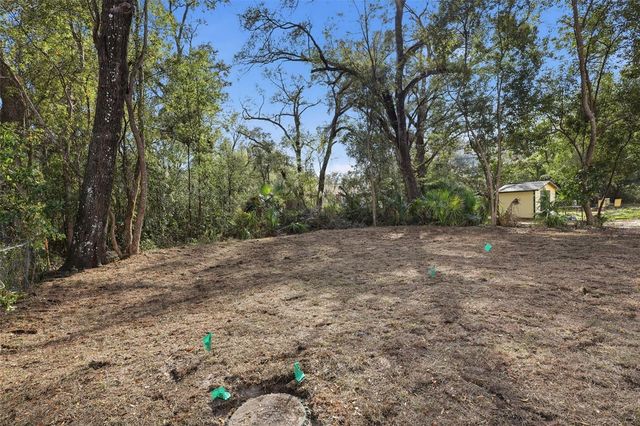 24534 PAUL STREET, Sorrento, FL 32776