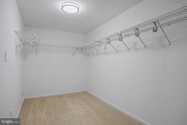 206 DOWNING RD, Somerdale, NJ 08083