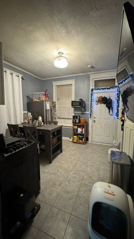 3026 S Saint Louis Avenue, Chicago, IL 60623