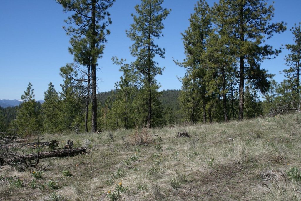 xx Coyote Canyon Rd, Fruitland, WA 99129 photo 2