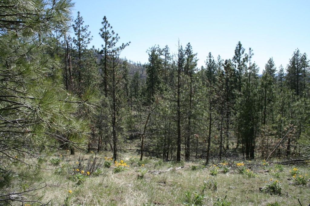 xx Coyote Canyon Rd, Fruitland, WA 99129 photo 3