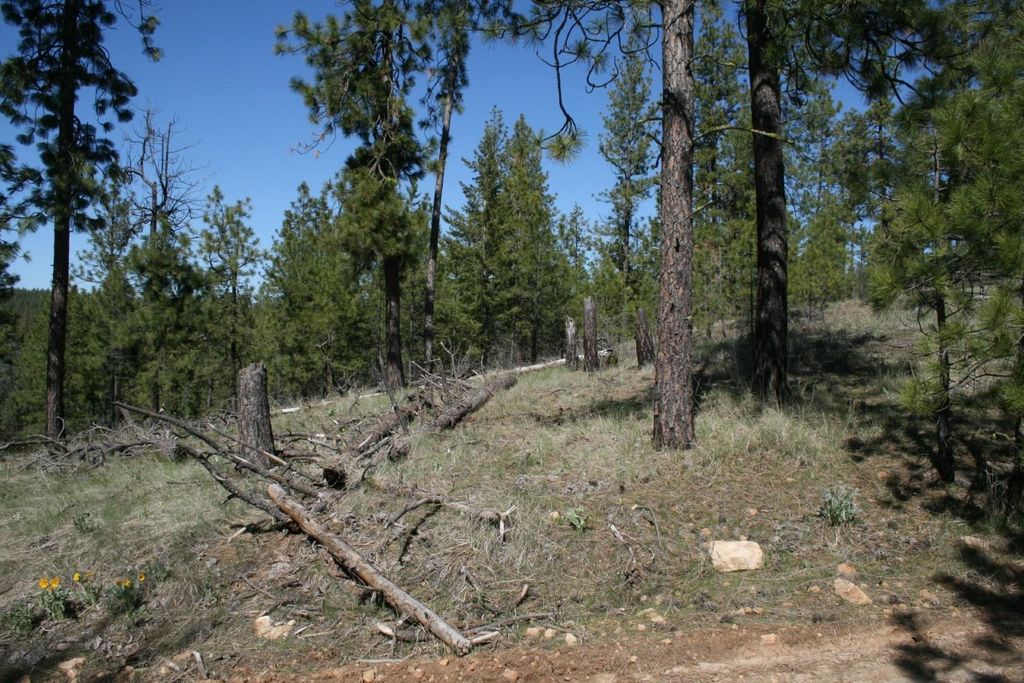 xx Coyote Canyon Rd, Fruitland, WA 99129 photo 4