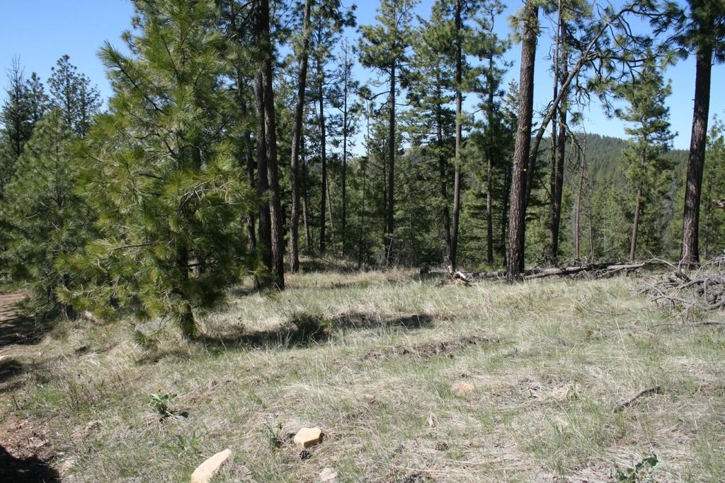 xx Coyote Canyon Rd, Fruitland, WA 99129 photo 5