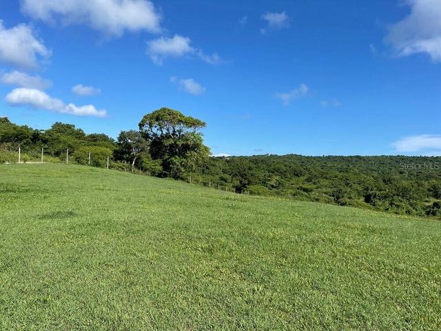 D-7 CARR. 201, Vieques, PR 00765