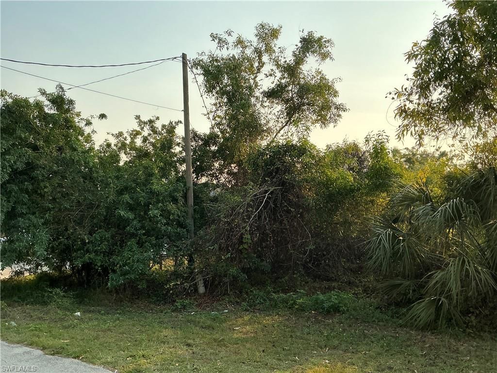 5207 29th ST SW, LEHIGH ACRES, FL 33973 — photo 3