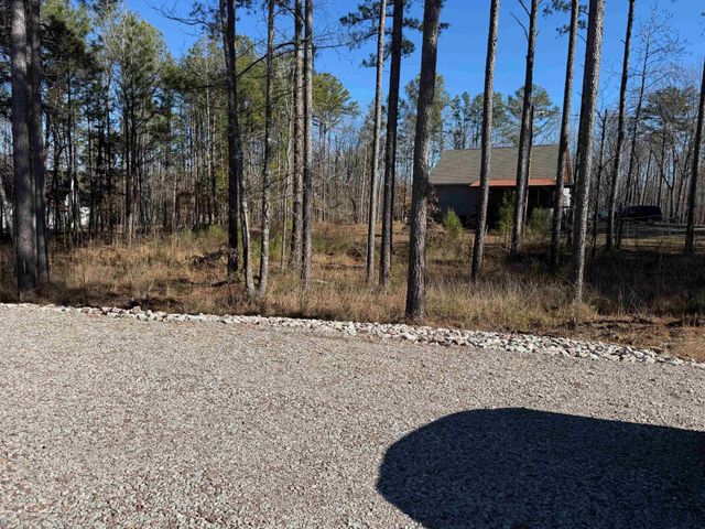 20 DOODLE CV, Counce, TN 38326