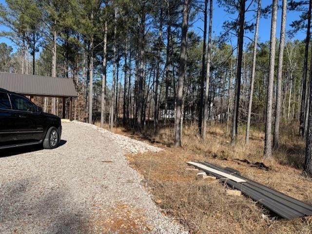 20 DOODLE CV, Counce, TN 38326