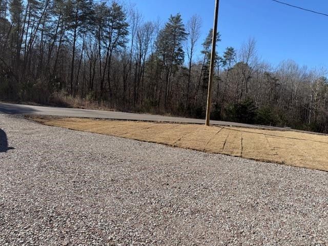 20 DOODLE CV, Counce, TN 38326