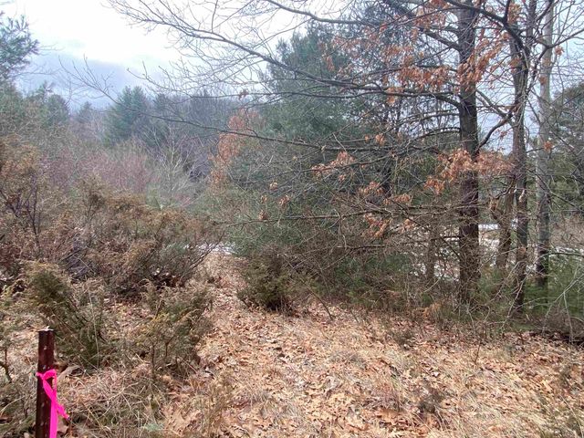 Lot 34 Scenic Hills Drive, Williamsburg, MI 49690
