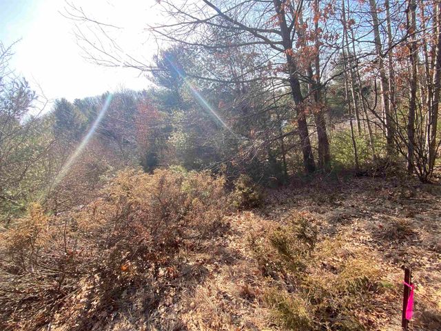 Lot 34 Scenic Hills Drive, Williamsburg, MI 49690