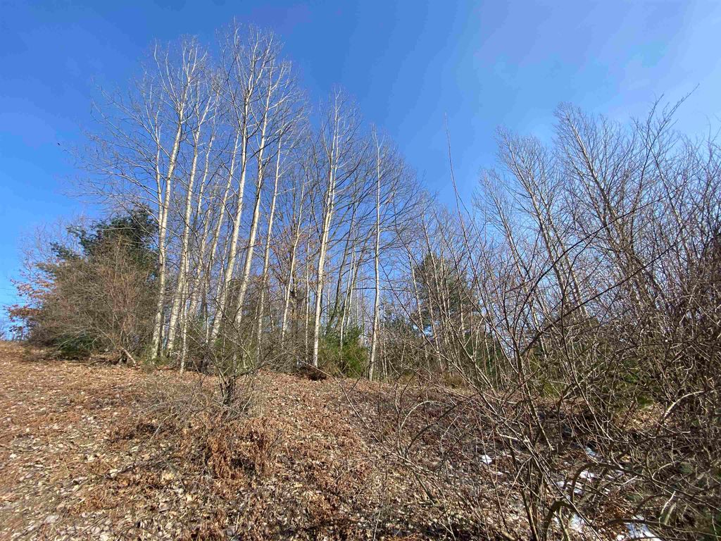 Lot 34 Scenic Hills Drive, Williamsburg, MI 49690