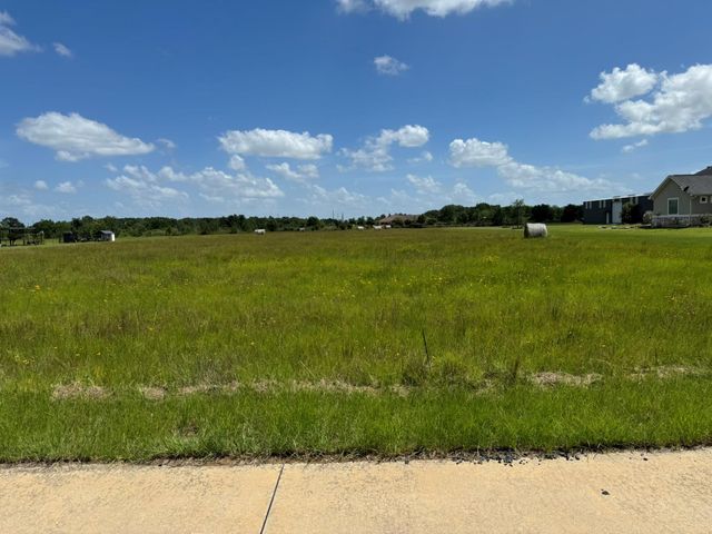 26119 Katy Prairie Drive, Katy, TX 77493