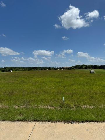 26119 Katy Prairie Drive, Katy, TX 77493