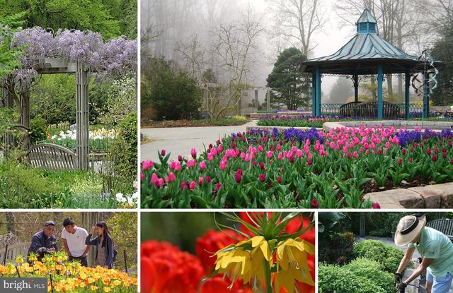 2205 PARKER AVE, Silver Spring, MD 20902