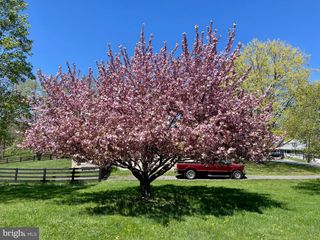 301 YALE DR, Winchester, VA 22602