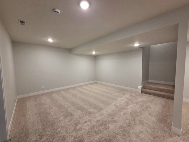 103 Bowz Drive, Downs, IL 61736