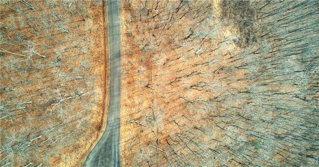 7351 Starlight Lane, Jasper, GA 30143