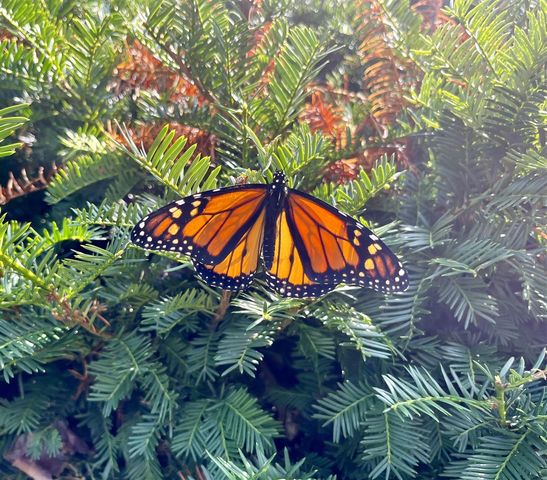 8599 E N Avenue, Kalamazoo, MI 49048