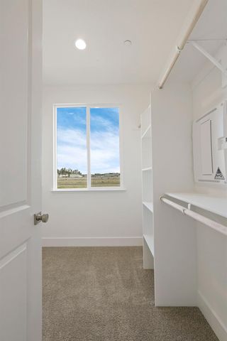 446 Tigris St, Manteca, CA 95337