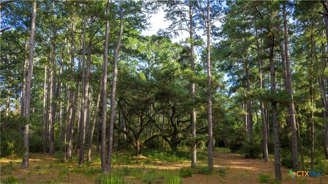 2080 Zimmerscheidt, Columbus, TX 78950