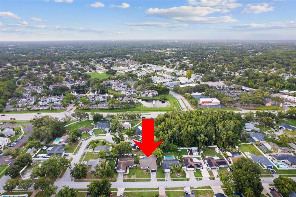 Image 33 of property listing at 5308 BLACK PINE DRIVE, Tampa, FL 33624